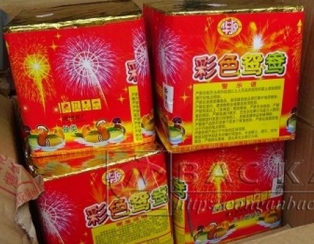 Số pháo vận chuyển trái phép bị thu giữ