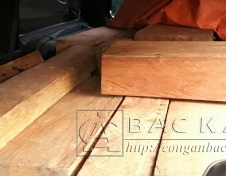 Số gố nghiến vận chuyển trái phép trên xe ô tô biển kiểm soát 28A.03063