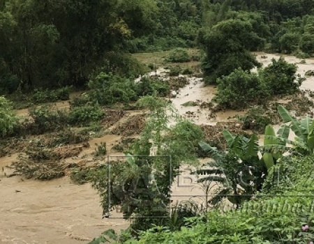 Lũ tràn qua xã Tân Tiến