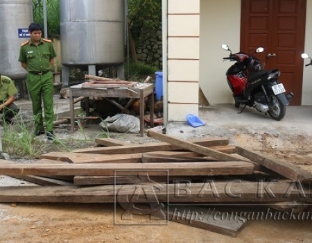 Lực lượng chức năng kiểm tra, thống kê số gỗ vận chuyển trái phép