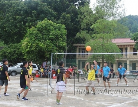 Một pha bòng trong trận đấu giữa đội tuyển phòng Cảnh sát hình sự (áo đen vàng) – Phòng Cảnh sát kinh tế