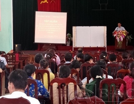 Huyện Bạch Thông tập huấn nâng cao năng lực về công tác cai nghiện và quản lý người nghiện sau cai