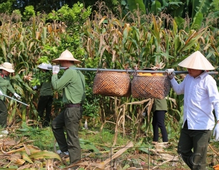 Giải thưởng sáng tác, quảng bá tác phẩm văn học, nghệ thuật, báo chí
