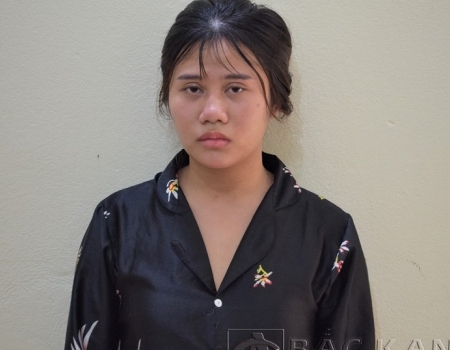 Đối tượng Nguyễn Thị Hoa