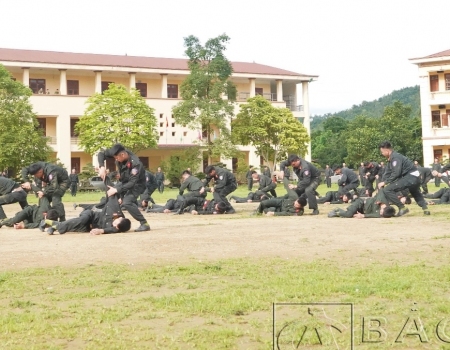 Lực lượng Cảnh sát cơ động biểu diễn võ thuật