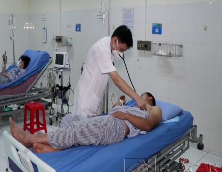  Nhóm công nhân ở xã Nghĩa Tá, huyện Chợ Đồn, tỉnh Bắc Kạn hái rau rừng về ăn bị ngộ độc do có lẫn lá ngón.