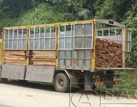 Phương tiện và tang vật vụ vi phạm