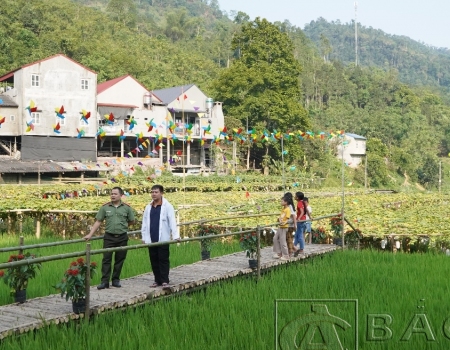 Đồng chí Phó Giám đốc kiểm tra tại điểm trải nghiệm Bí xanh thơm xã Yến Dương