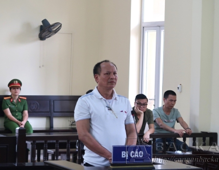 Bị cáo Vũ Ngọc Hường tại phiên toà