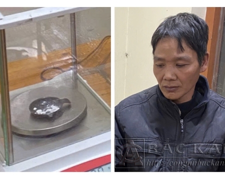 Hà Hồng Định và tang vật