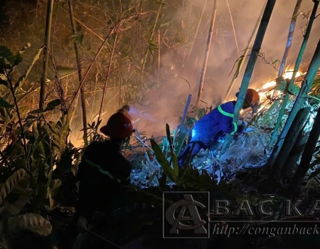 Các lực lượng tham gia chữa cháy trong đêm (ảnh minh hoạ)