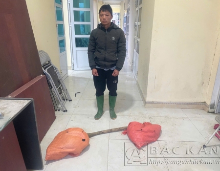 05 con gà do Hoàng Văn Phúc lấy trộm tại gia đình ông Hà Văn Thái