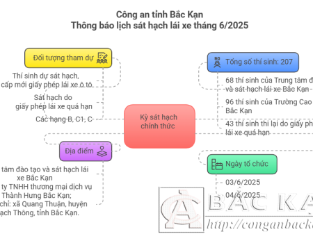 Kỳ sát hạch chính thức