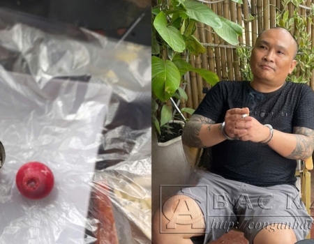  Đối tượng Nông Văn Dũng và tang vật