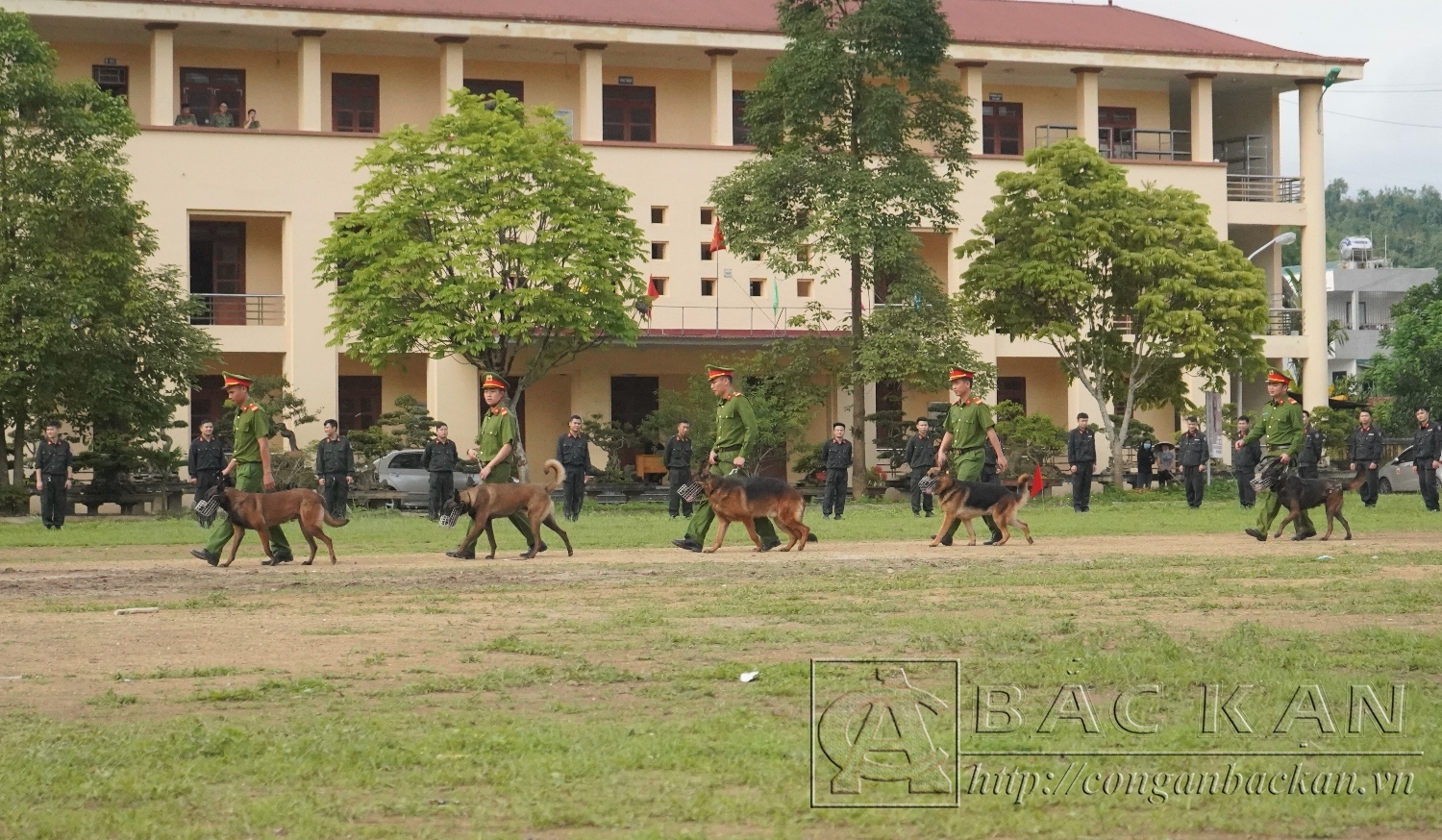Bao cao cong tac hua n luyện, sử dụng chó nghiệp vụ phục vụ công tác chiến đấu