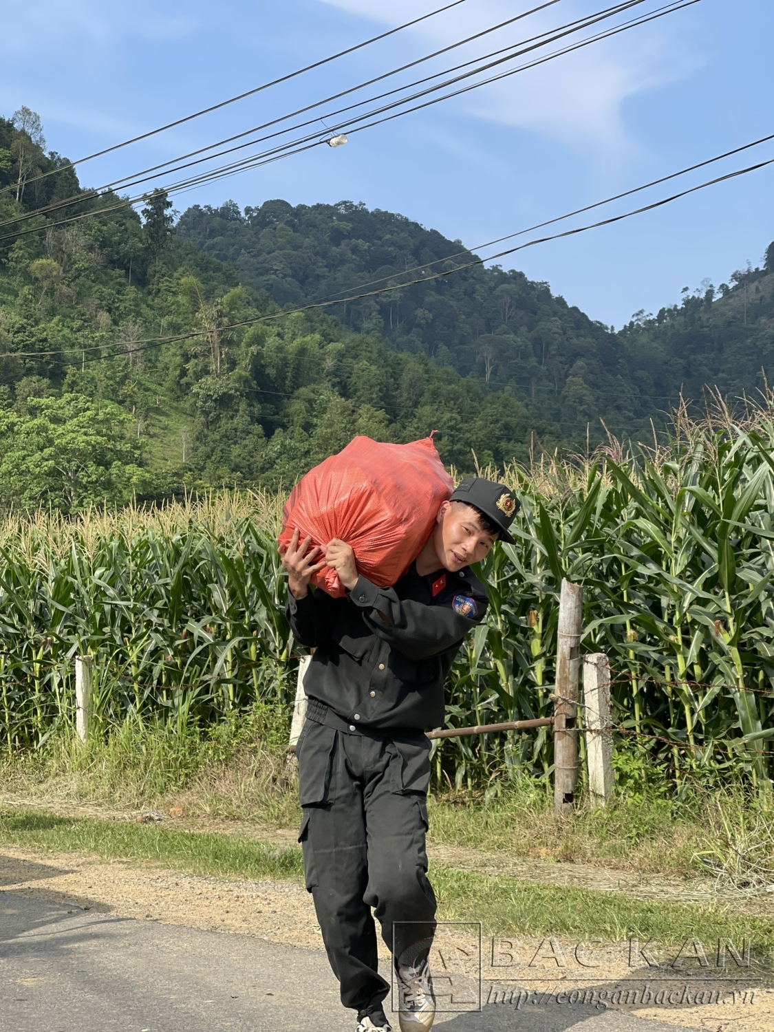 vận chuyển nông sản 2