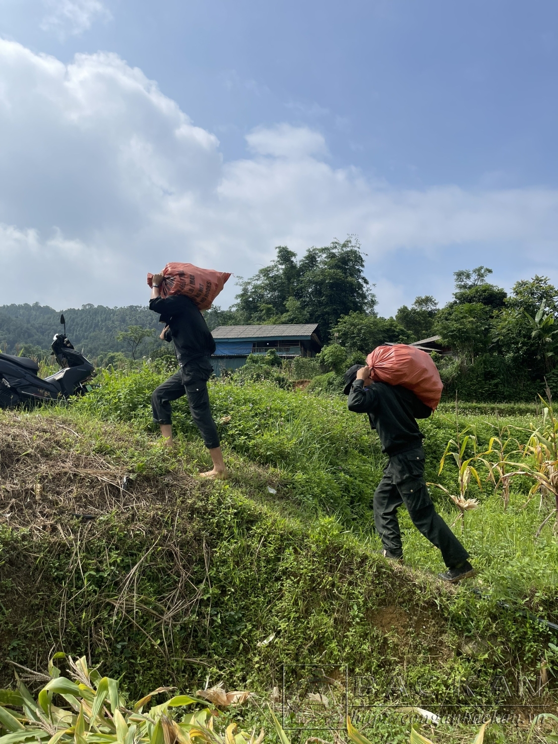 vận chuyển nông sản