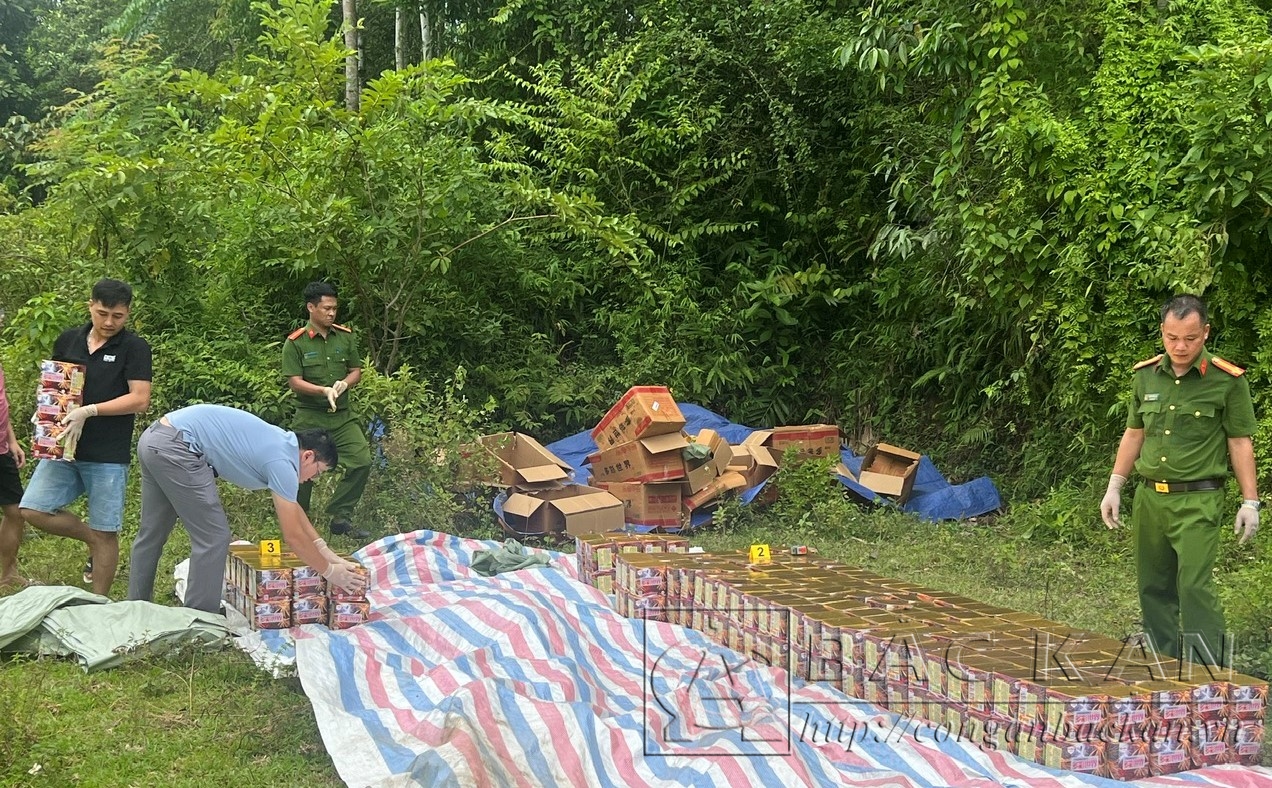 Cơ quan Công an kiểm đếm tang vật