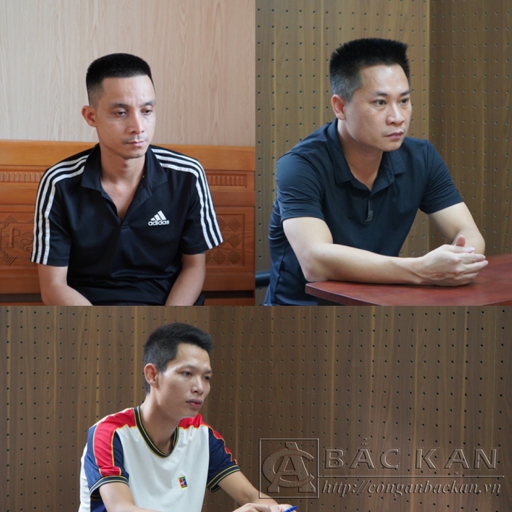 Các đối tượng Thành, Dòng và Tùng