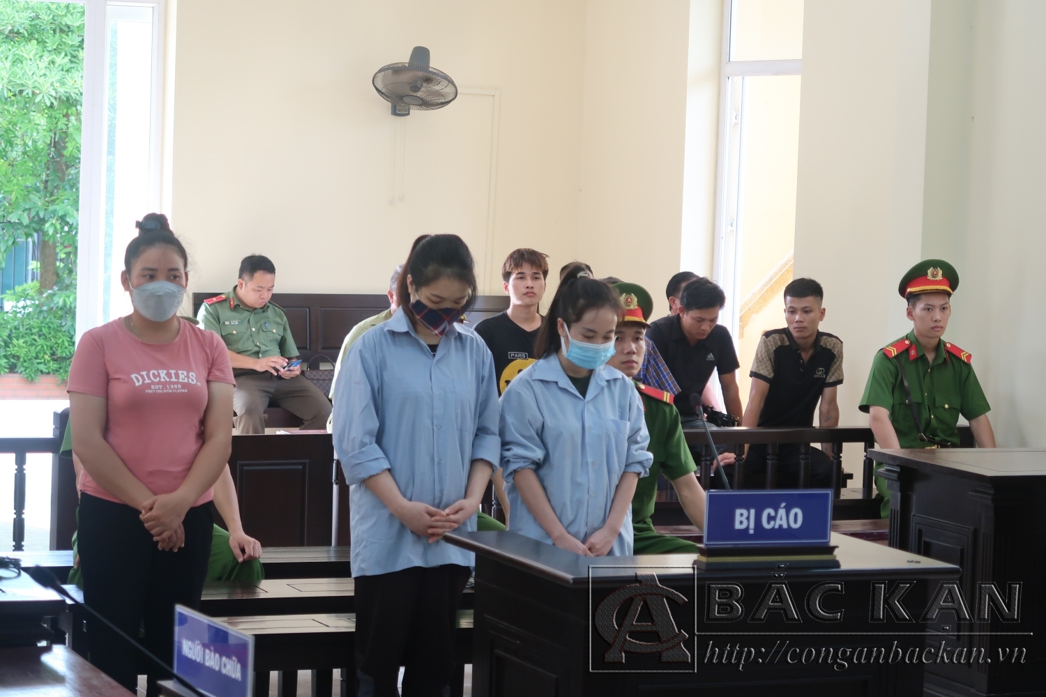 Các bị cáo tại phiên tòa