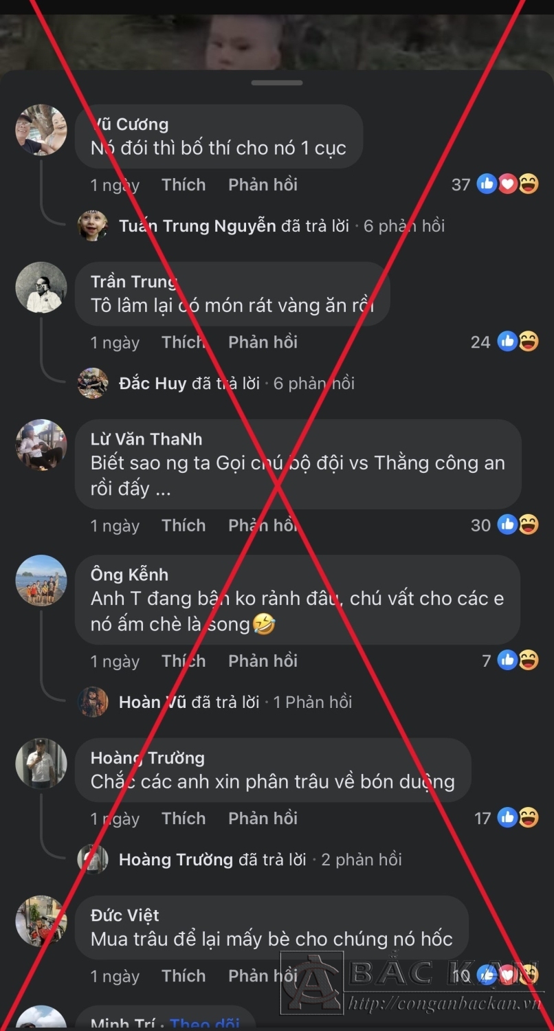 trâu bòb