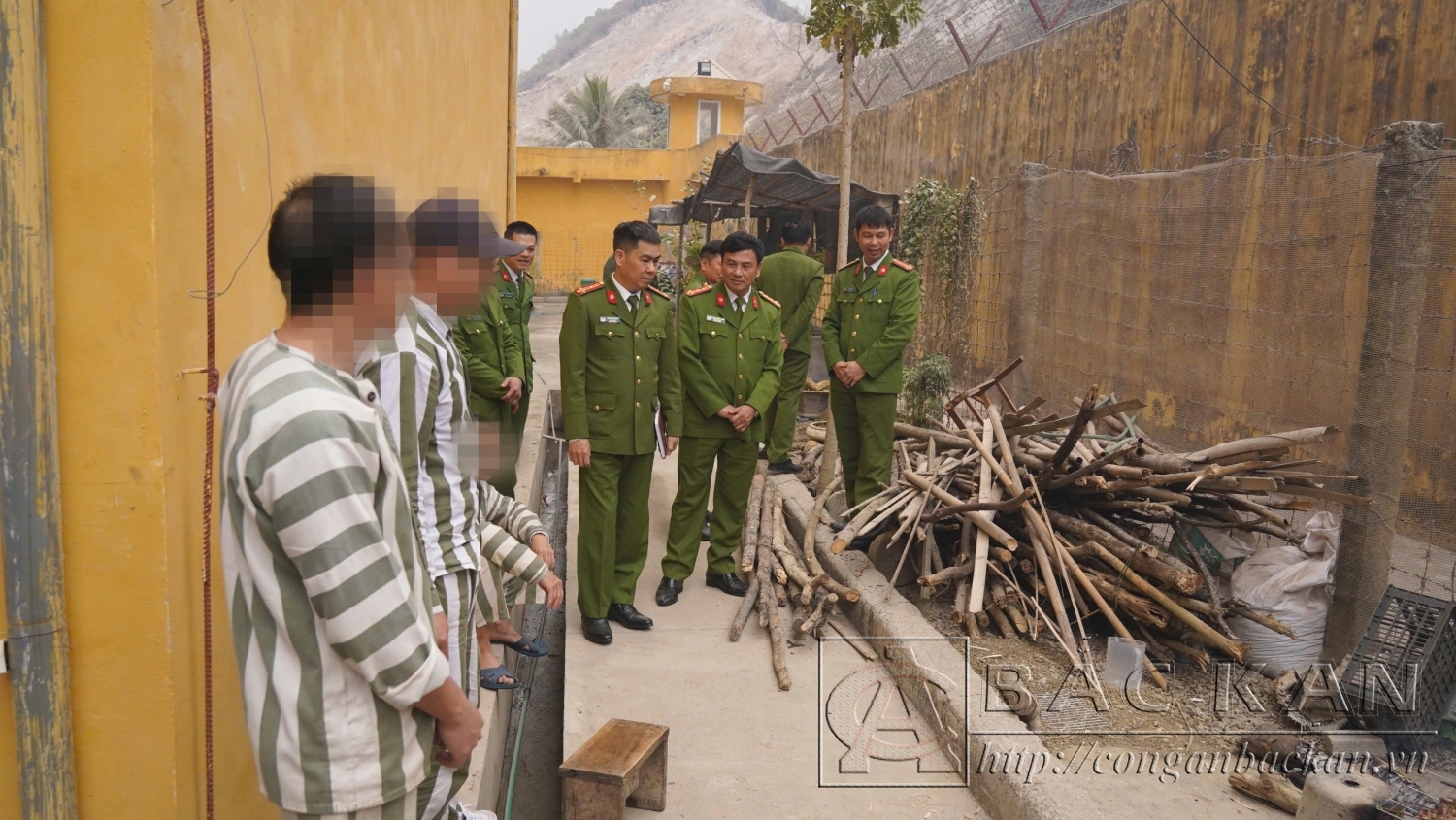 phạm cbi nấu cơm