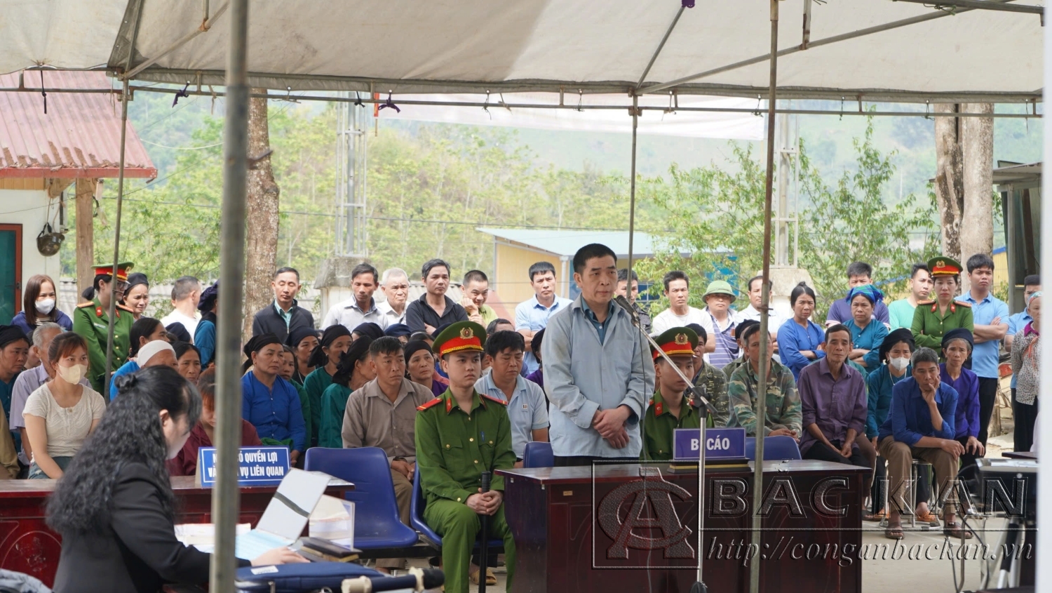 T tại toà