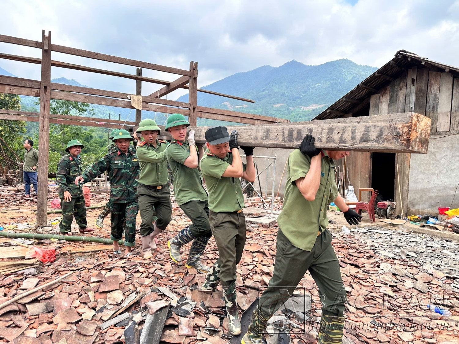 CA,QĐ vac gỗ