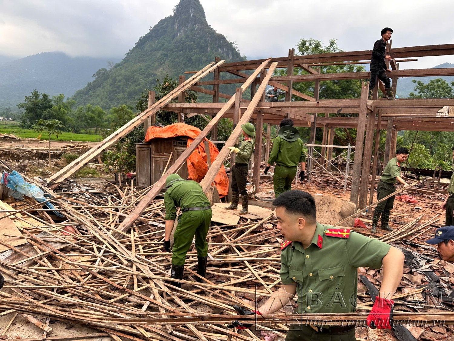 dọn gỗ