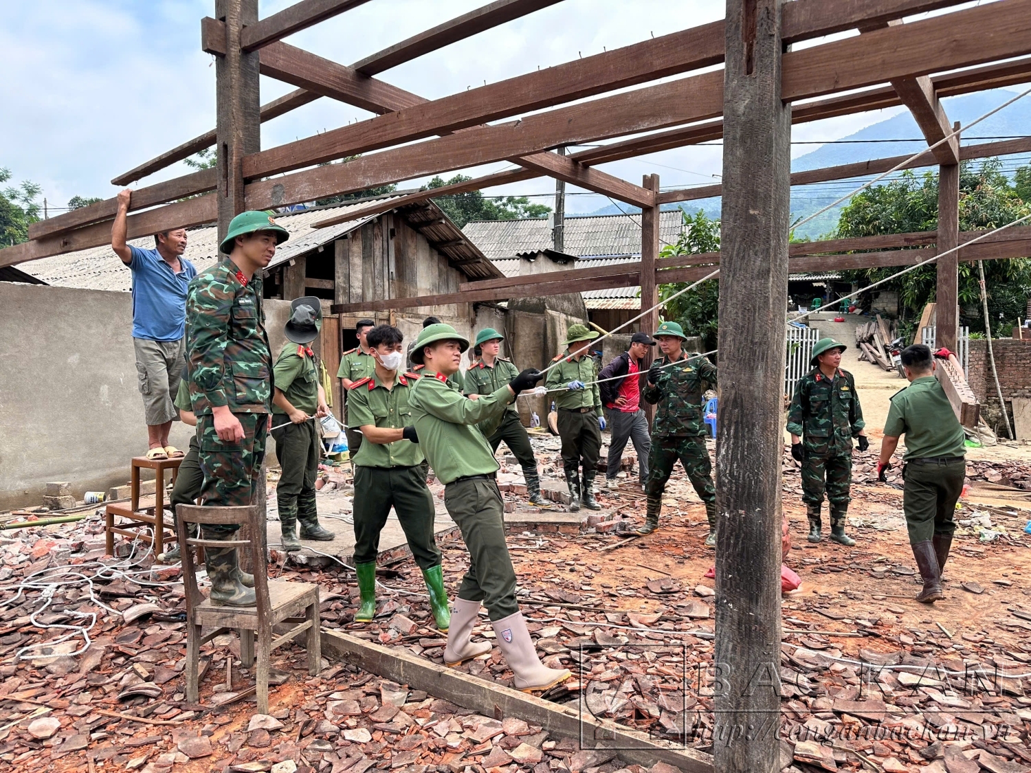 keo gỗ