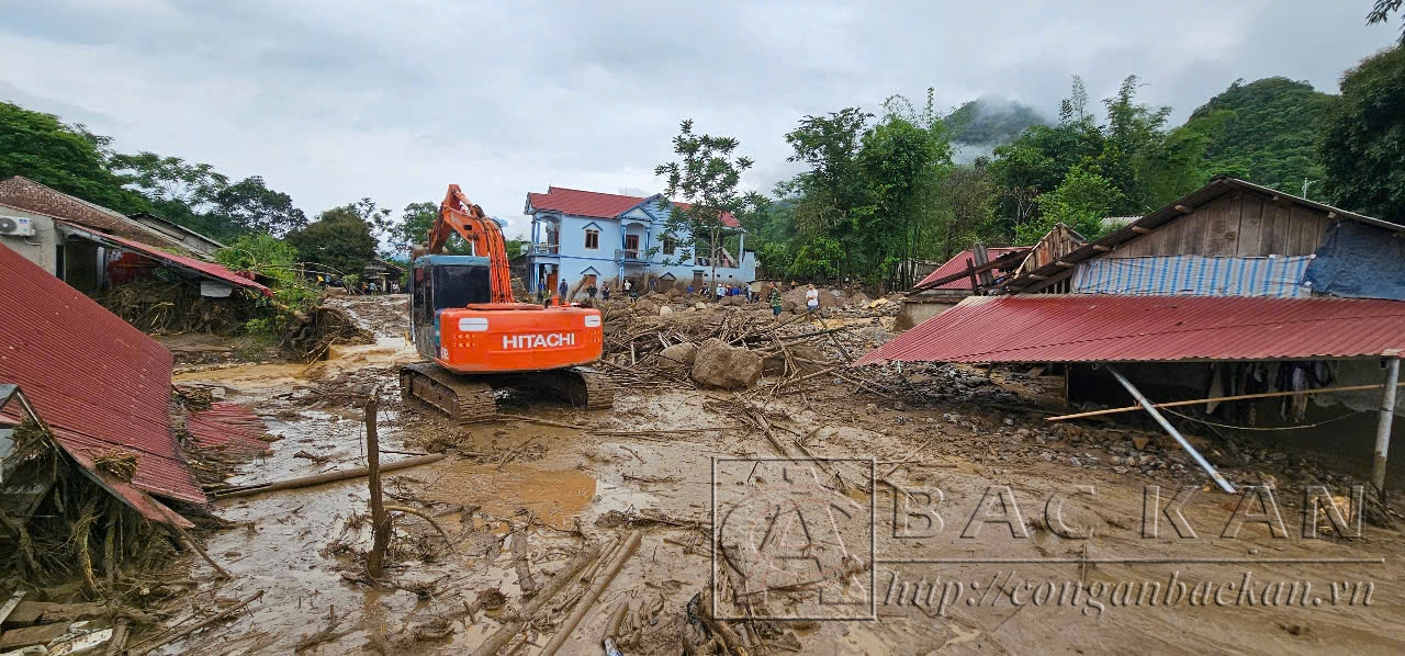 tại Đồng Phúc